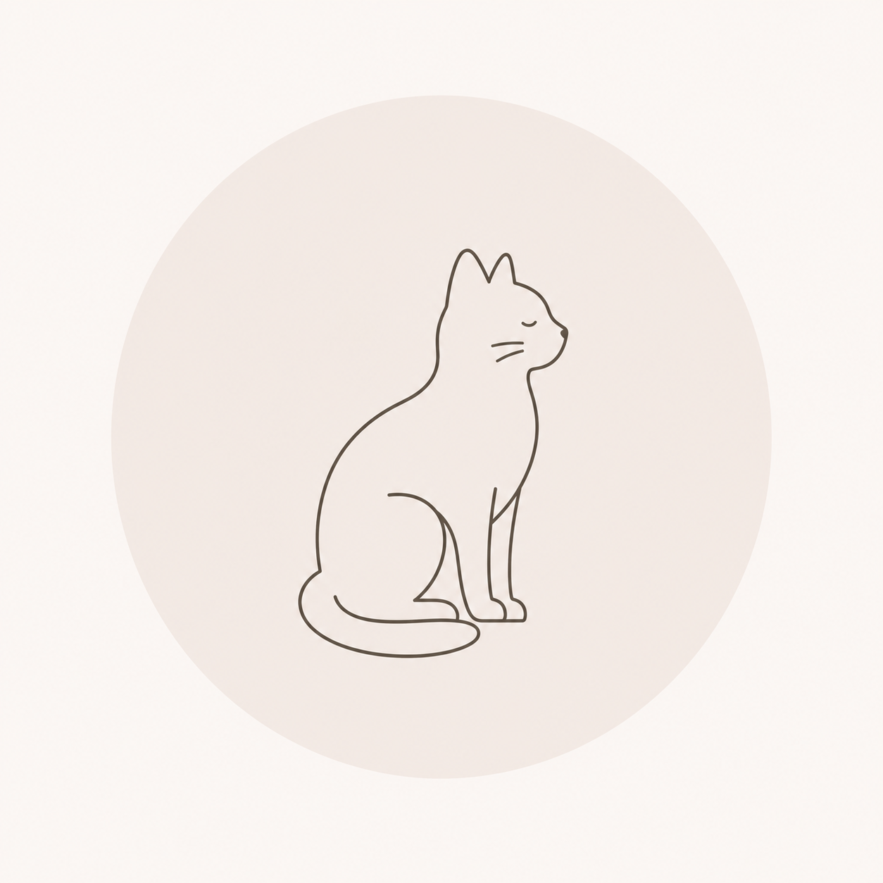 Cat Toys